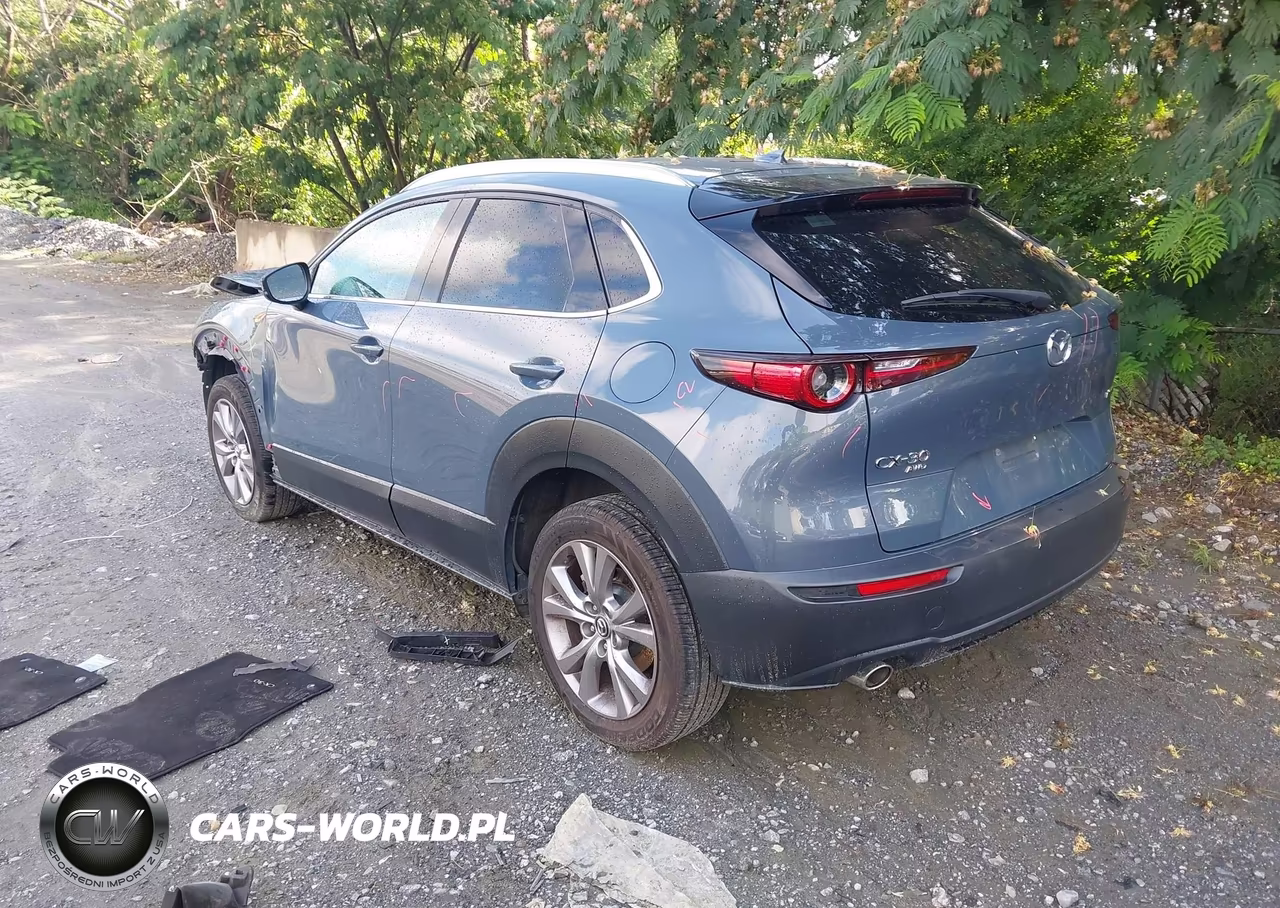 2021 Mazda Cx-30 Premium VIN:3MVDMBDL2MM314806 - 3
