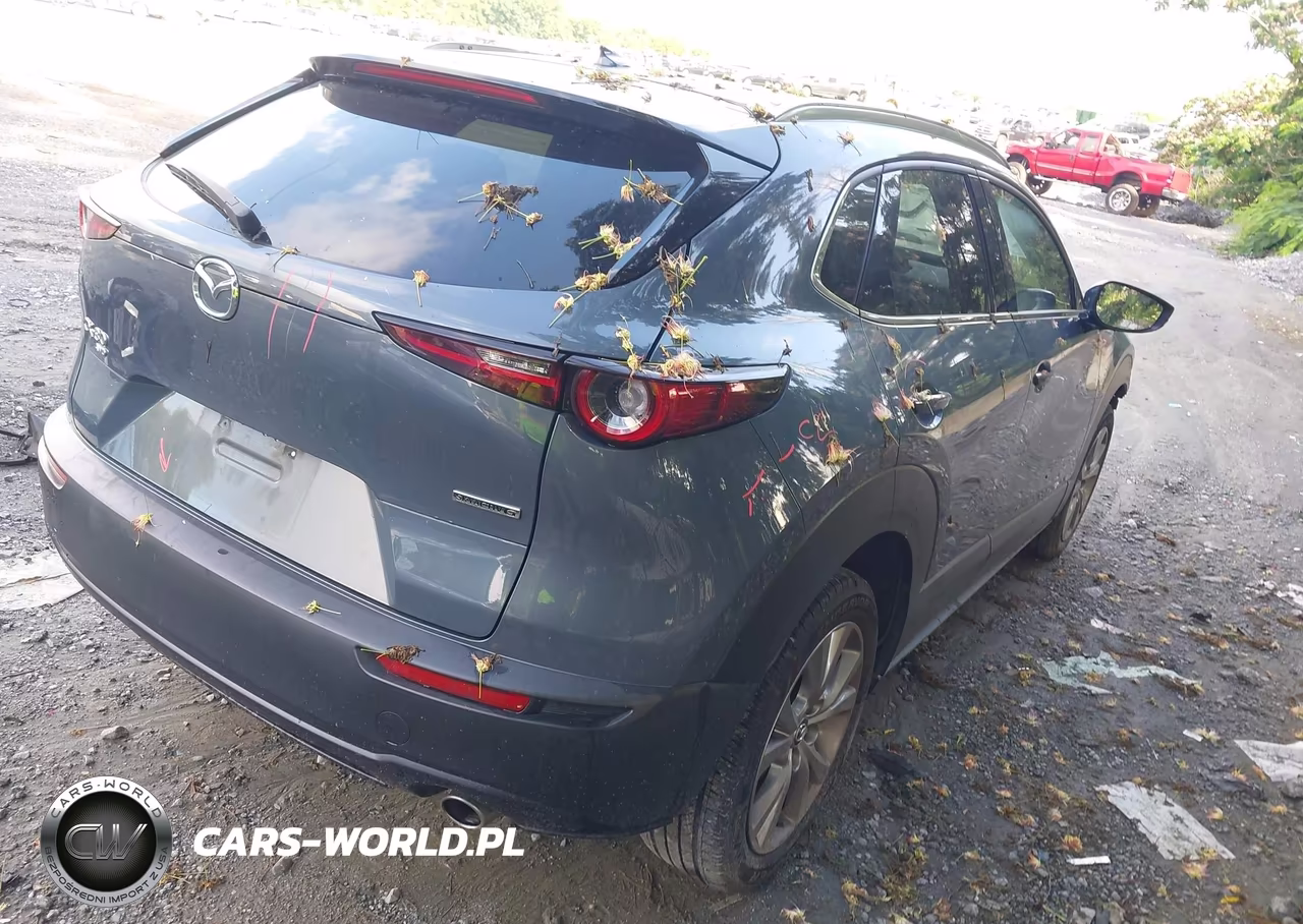 2021 Mazda Cx-30 Premium VIN:3MVDMBDL2MM314806 - 4