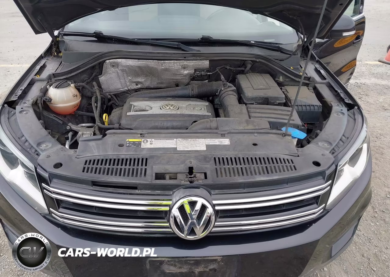 2017 Volkswagen Tiguan 2.0T Wolfsburg Edition VIN:WVGRV7AX4HK003203 - 10