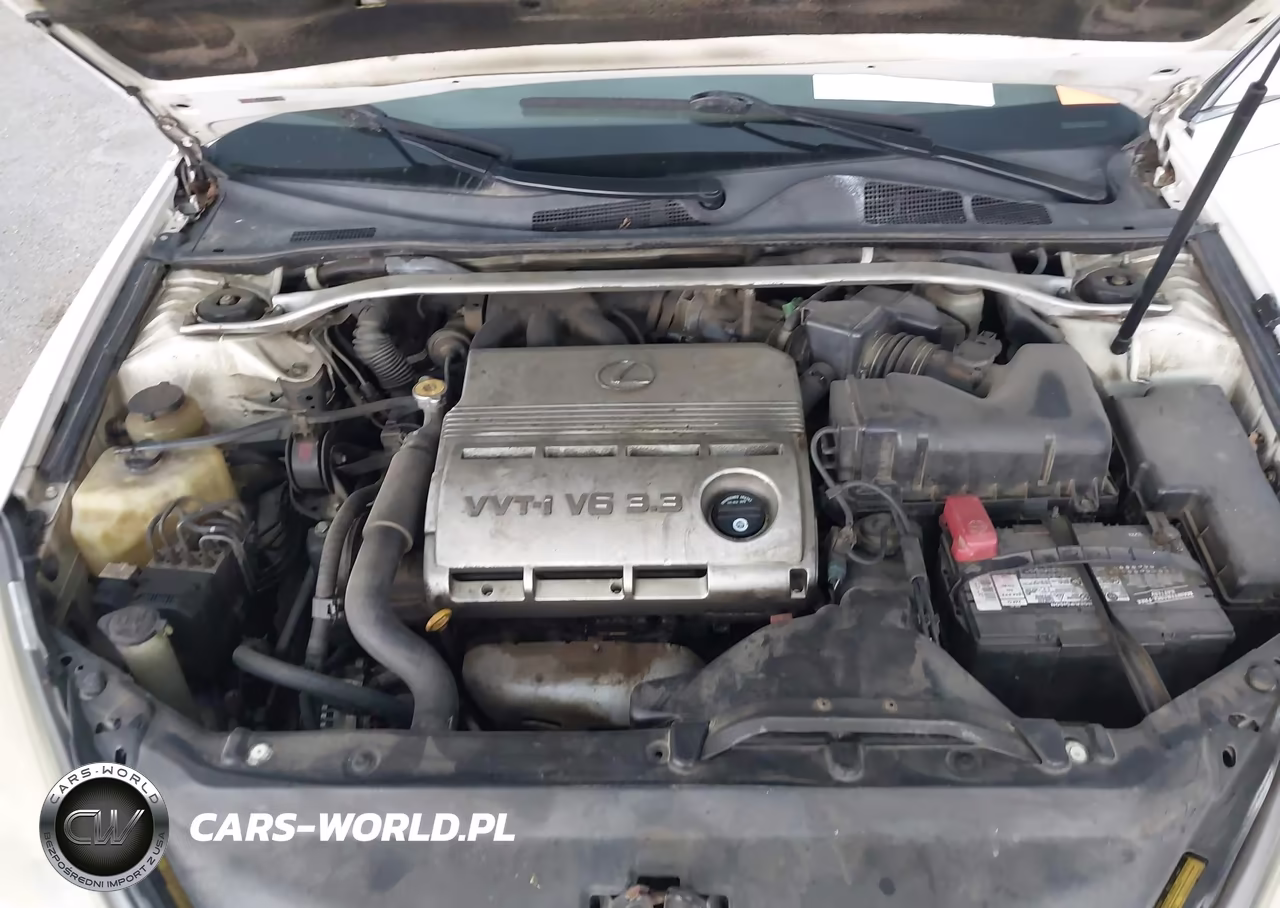 2004 Lexus Es 330 VIN:JTHBA30G745019849 - 10