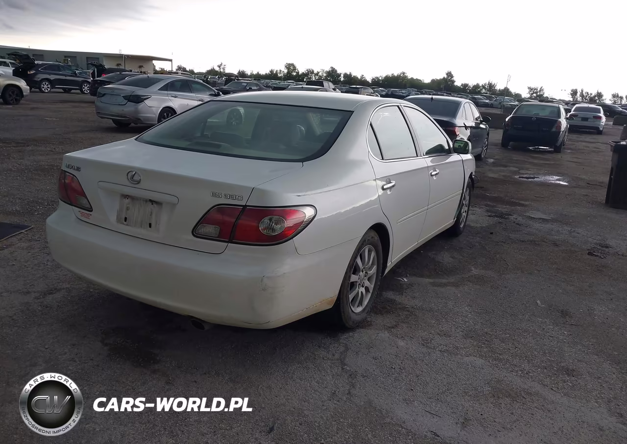 2004 Lexus Es 330 VIN:JTHBA30G745019849 - 4
