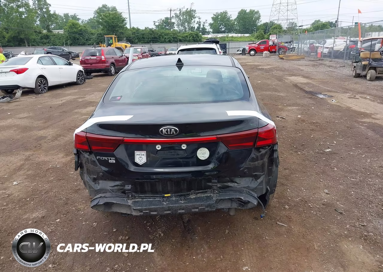 2019 Kia Forte Fe VIN:3KPF24AD9KE074010 - 17