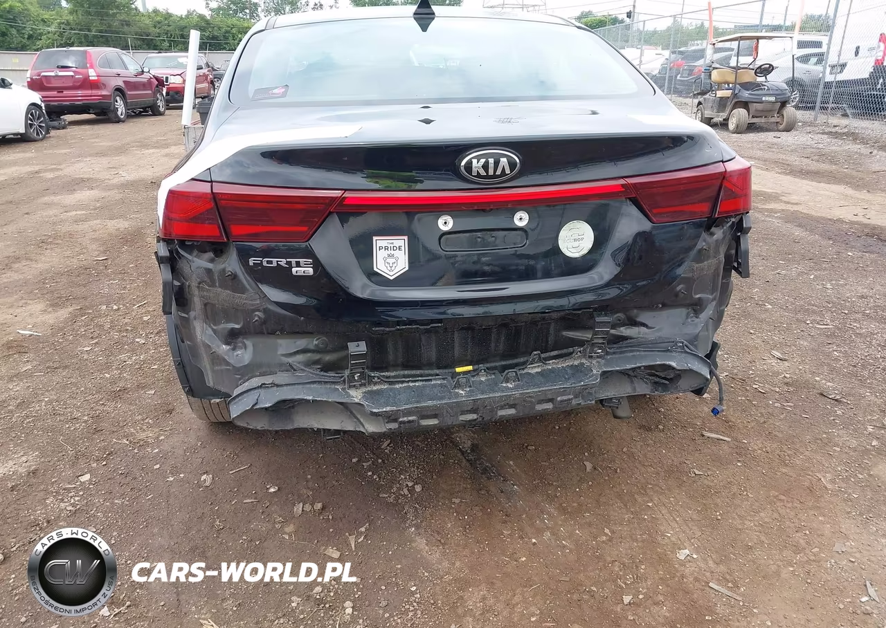 2019 Kia Forte Fe VIN:3KPF24AD9KE074010 - 6