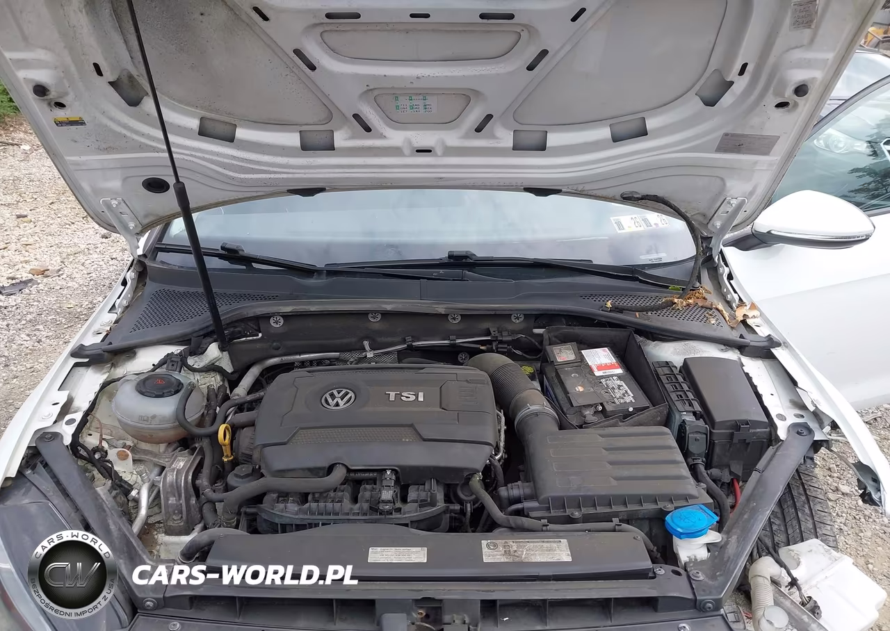 2018 Volkswagen Golf Sportwagen Tsi S-Tsi Se VIN:3VWD17AU5JM758646 - 10