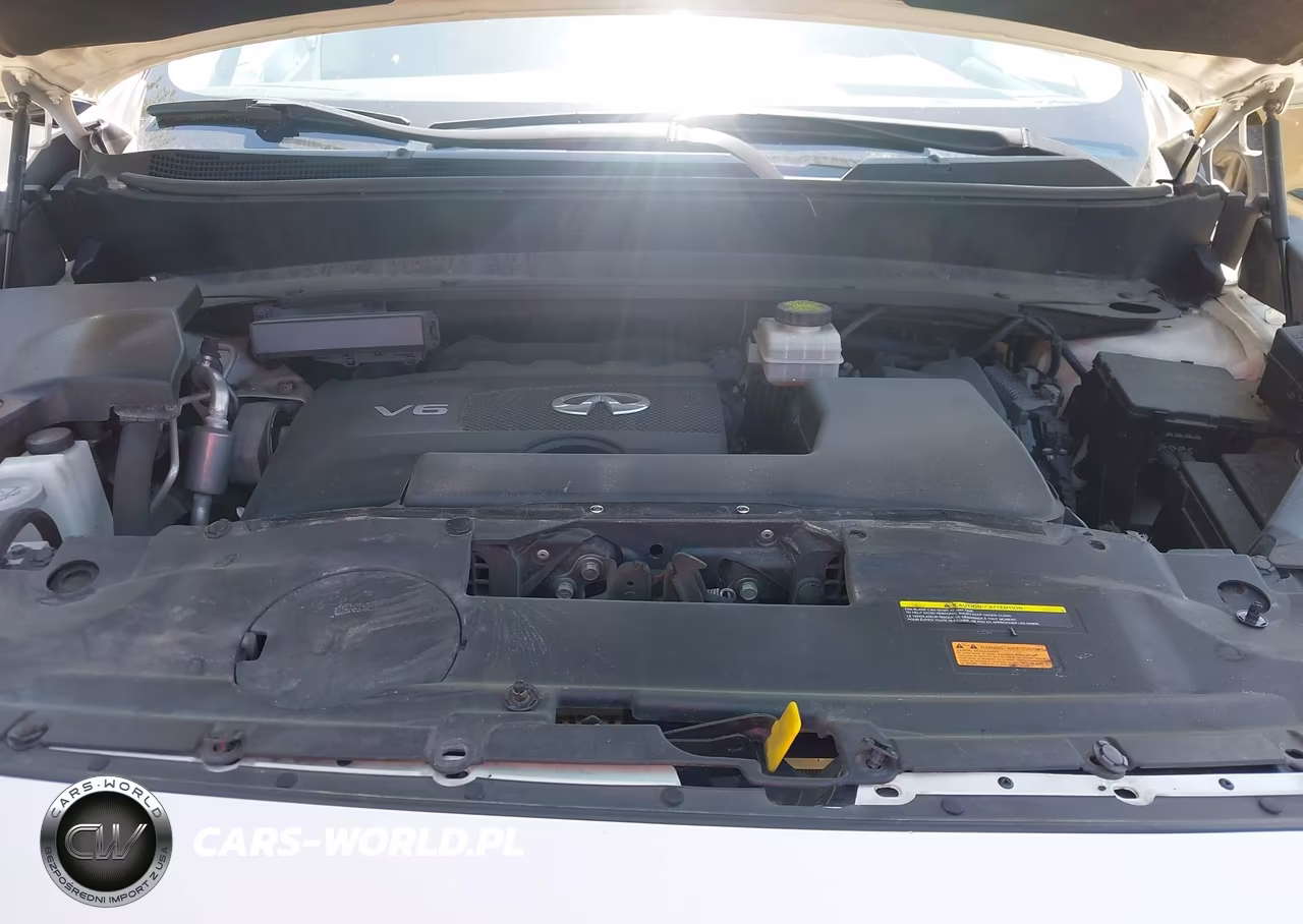2019 Infiniti Qx60 Luxe VIN:5N1DL0MM0KC550060 - 10