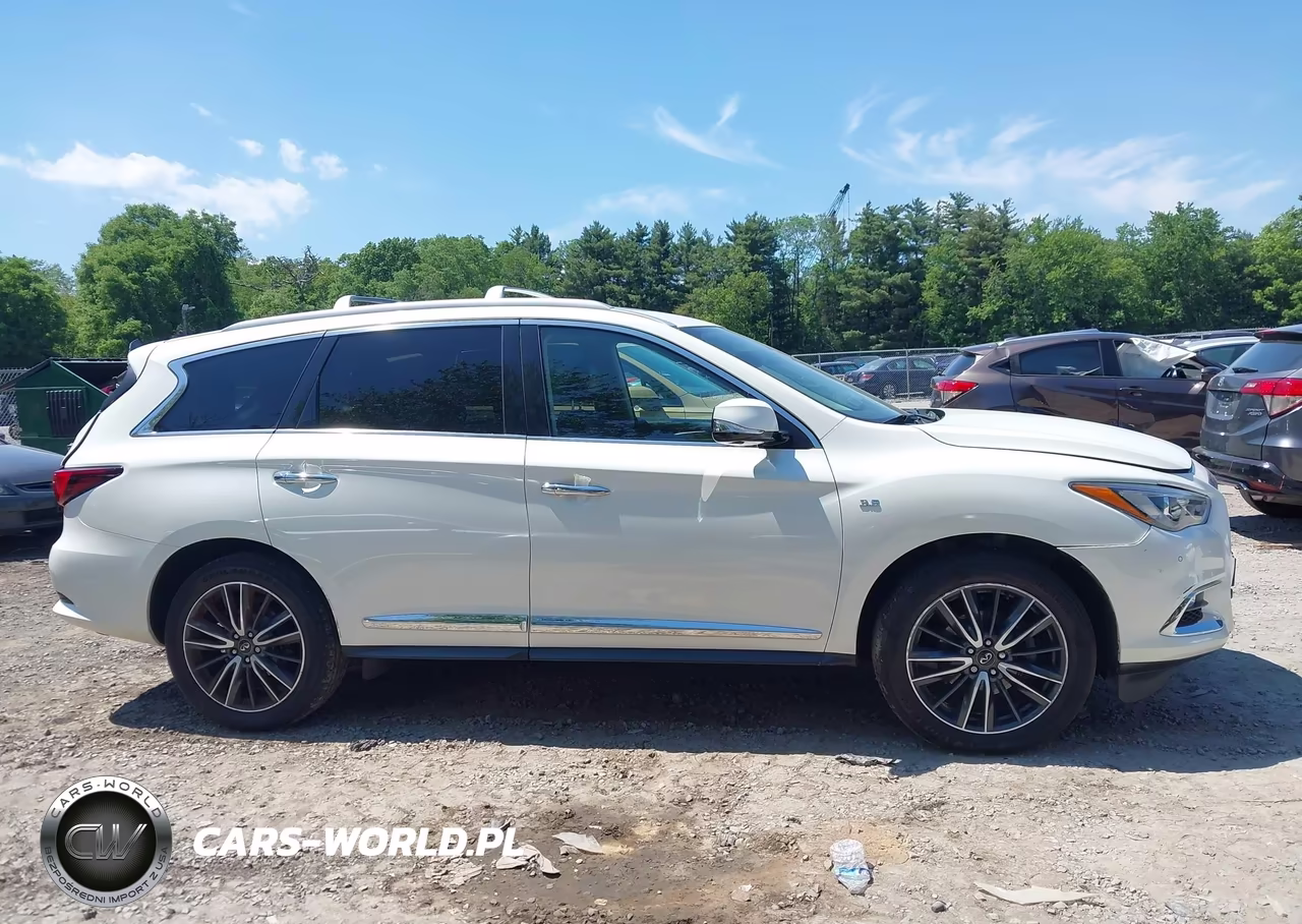 2019 Infiniti Qx60 Luxe VIN:5N1DL0MM0KC550060 - 12
