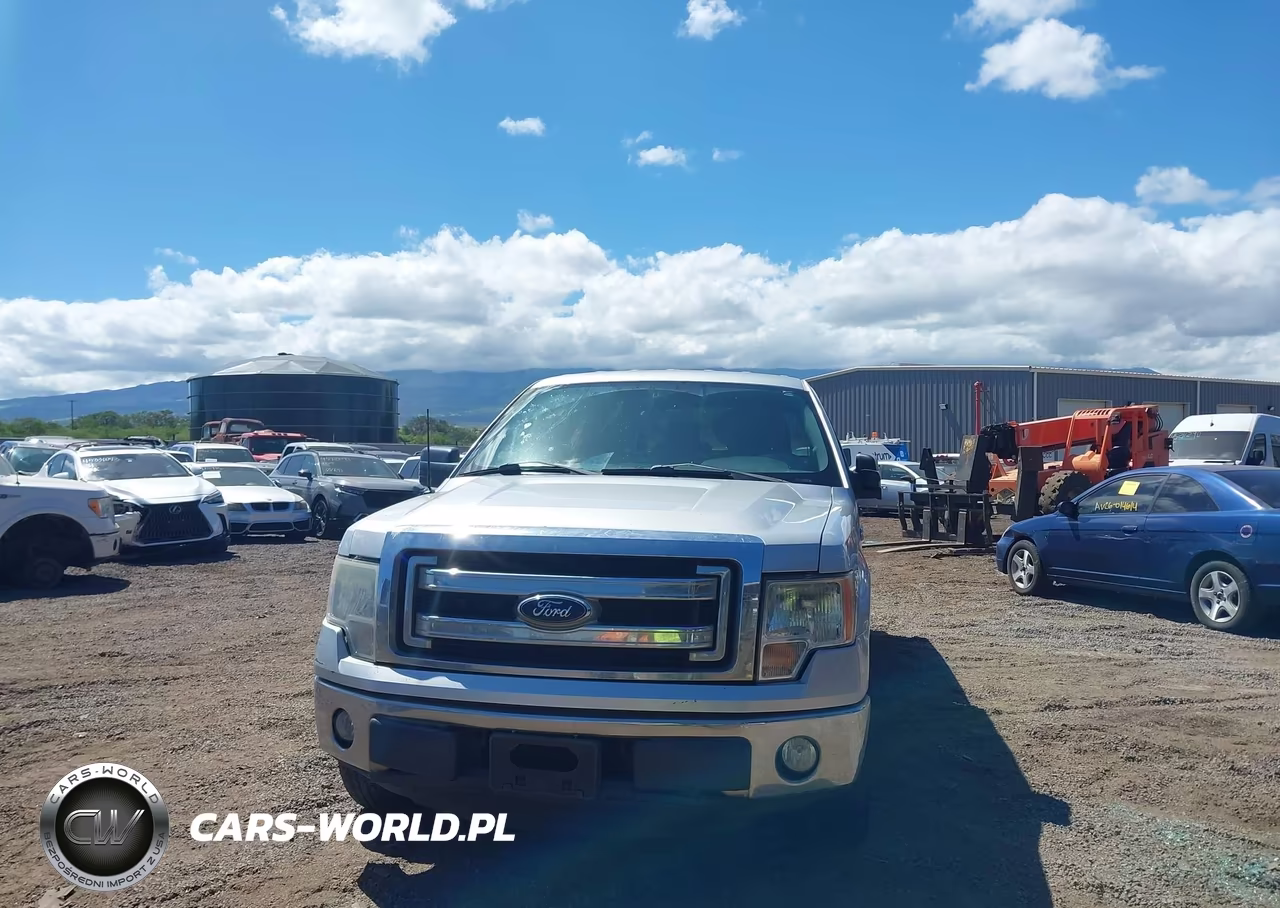 2013 Ford F-150 Xlt VIN:1FTEX1CM0DFA80571 - 12