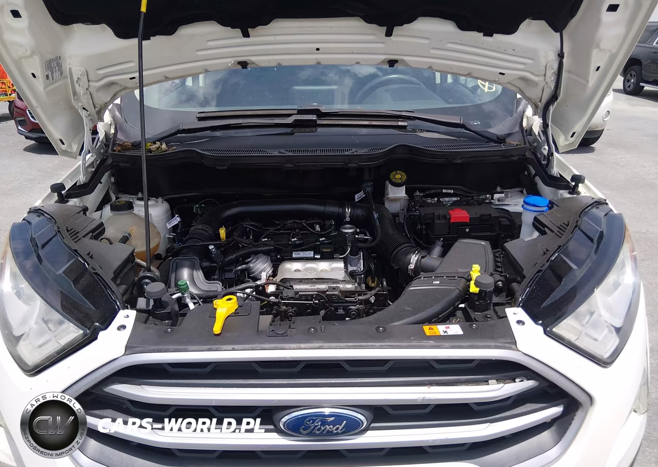 2020 Ford Ecosport Se VIN:MAJ3S2GE6LC391264 - 10