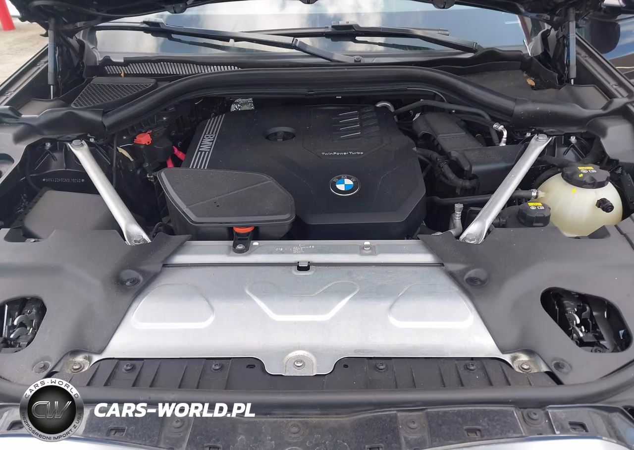 2022 BMW X3 Sdrive30I VIN:5UX43DP03N9L19240 - 10