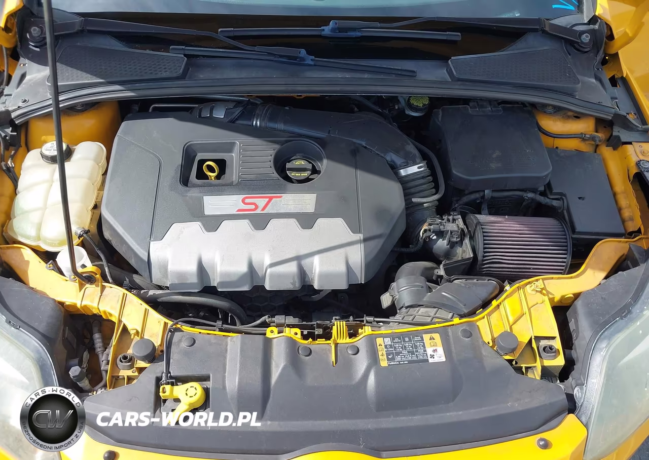 2014 Ford Focus St VIN:1FADP3L95EL419191 - 10