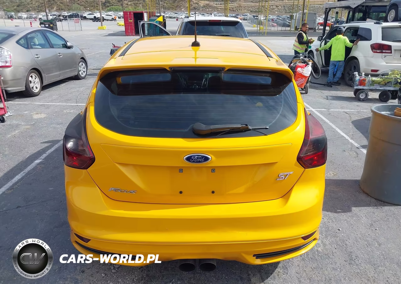 2014 Ford Focus St VIN:1FADP3L95EL419191 - 16