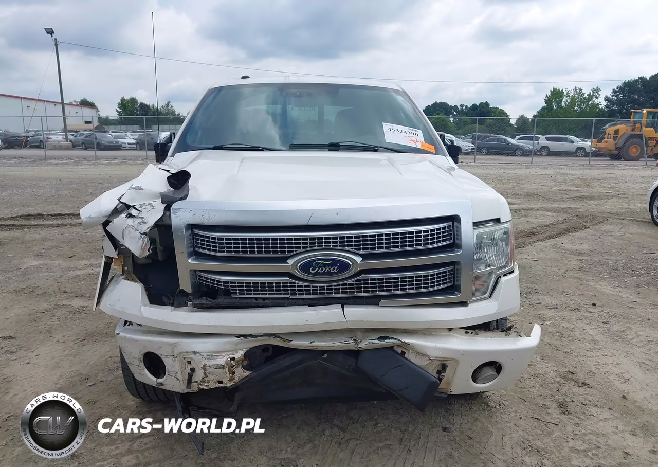2010 Ford F-150 Fx4-Harley-Davidson-King Ranch-Lariat-Platinum-Xl-Xlt VIN:1FTFW1EV1AFA39648 - 12