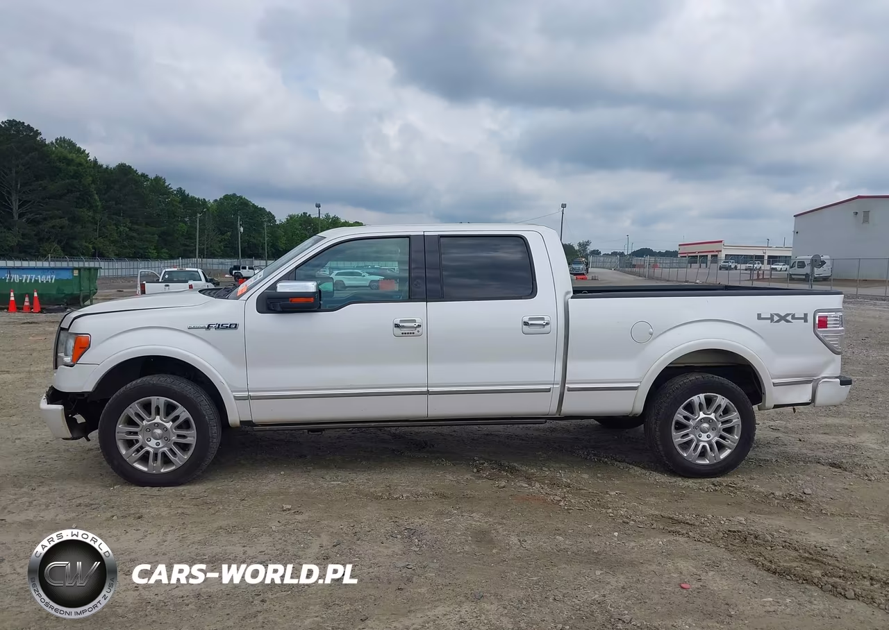 2010 Ford F-150 Fx4-Harley-Davidson-King Ranch-Lariat-Platinum-Xl-Xlt VIN:1FTFW1EV1AFA39648 - 14