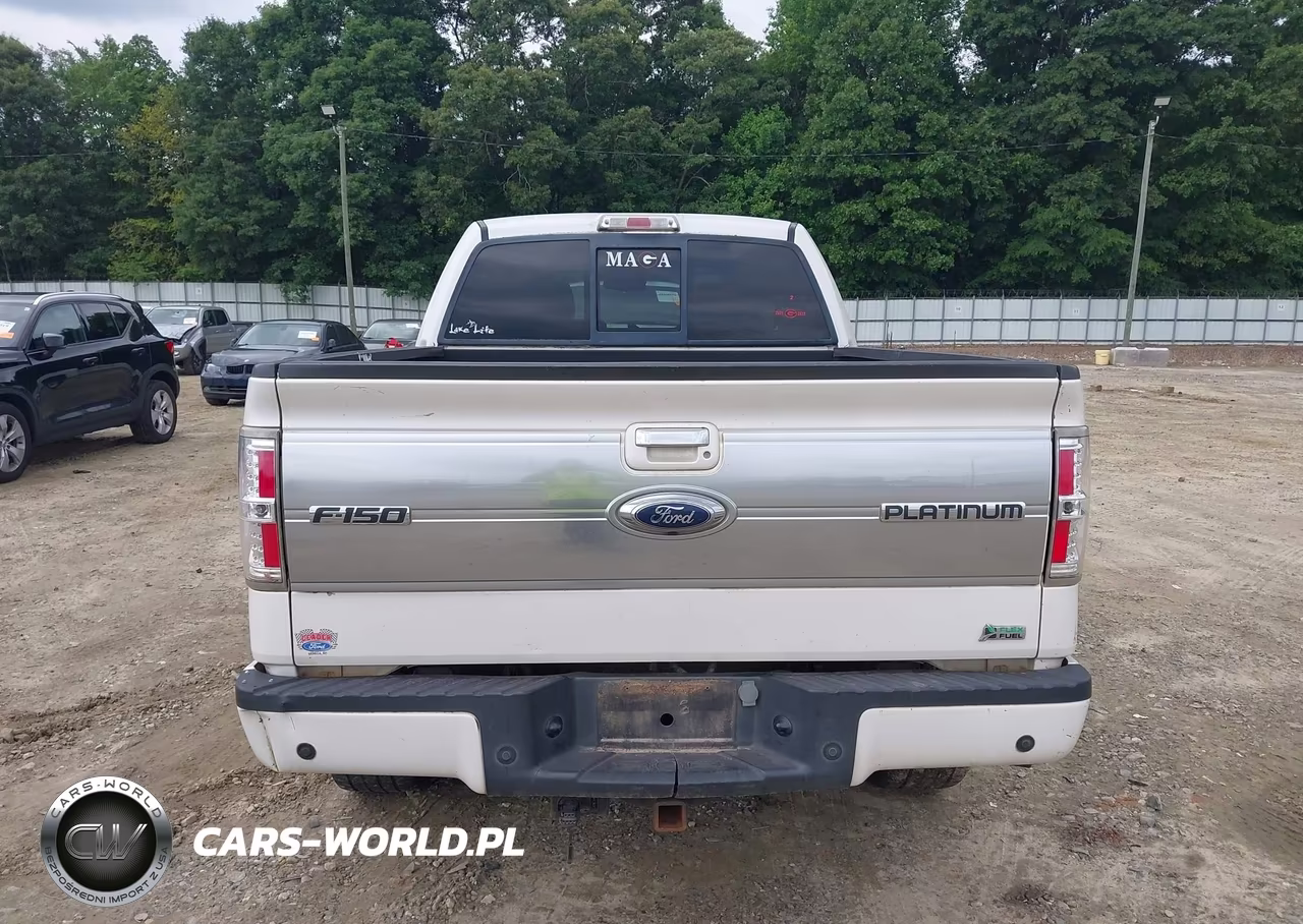 2010 Ford F-150 Fx4-Harley-Davidson-King Ranch-Lariat-Platinum-Xl-Xlt VIN:1FTFW1EV1AFA39648 - 16