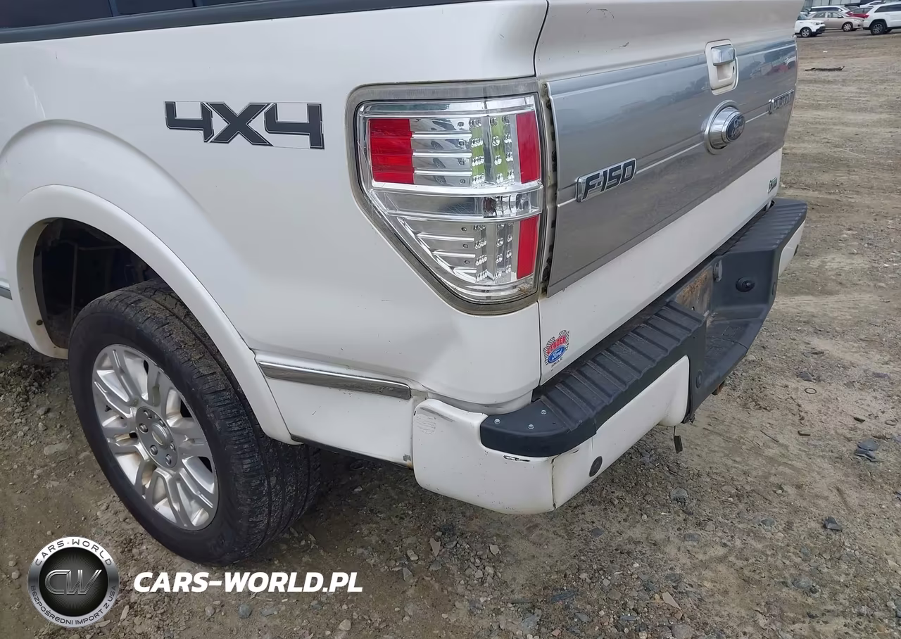 2010 Ford F-150 Fx4-Harley-Davidson-King Ranch-Lariat-Platinum-Xl-Xlt VIN:1FTFW1EV1AFA39648 - 18