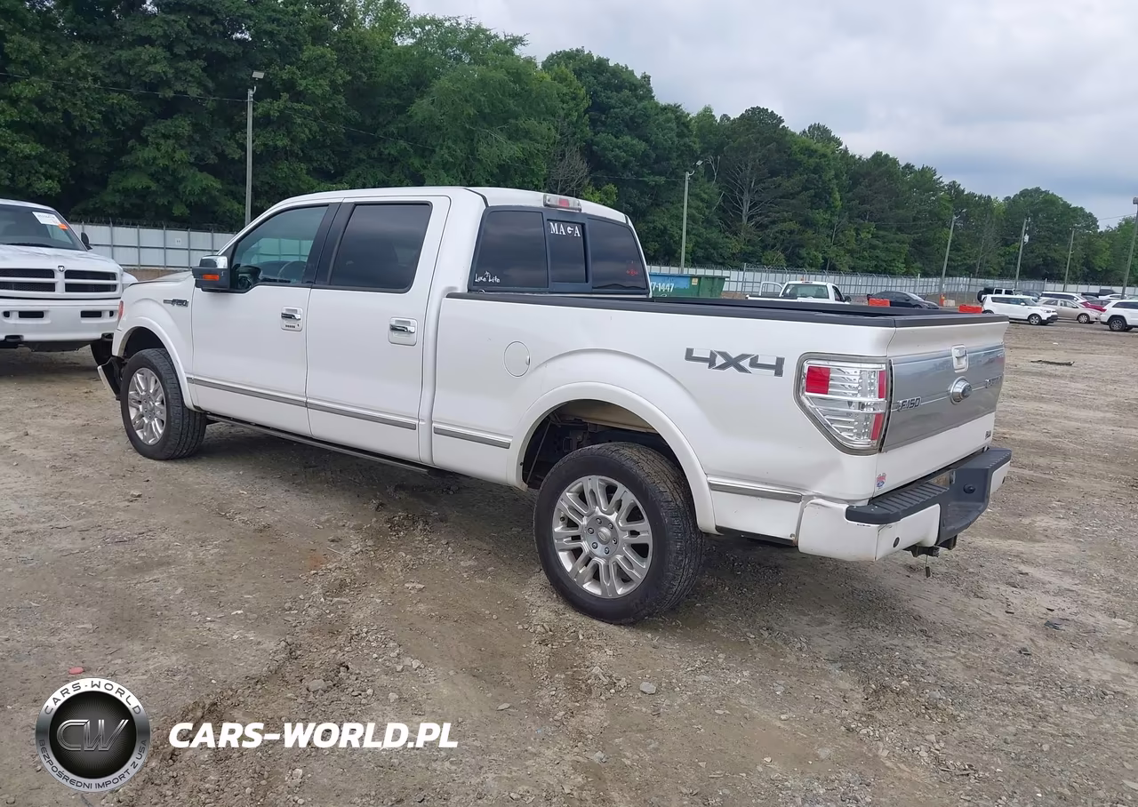 2010 Ford F-150 Fx4-Harley-Davidson-King Ranch-Lariat-Platinum-Xl-Xlt VIN:1FTFW1EV1AFA39648 - 3