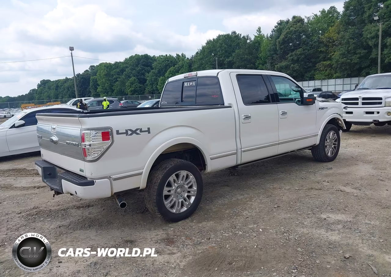 2010 Ford F-150 Fx4-Harley-Davidson-King Ranch-Lariat-Platinum-Xl-Xlt VIN:1FTFW1EV1AFA39648 - 4