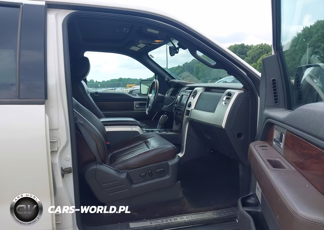 2010 Ford F-150 Fx4-Harley-Davidson-King Ranch-Lariat-Platinum-Xl-Xlt VIN:1FTFW1EV1AFA39648 - 5