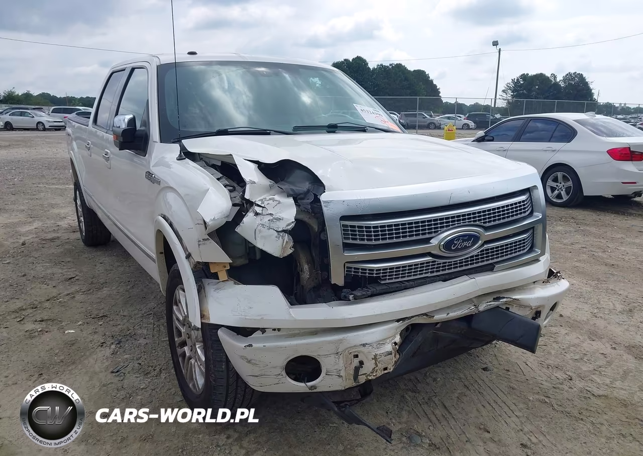 2010 Ford F-150 Fx4-Harley-Davidson-King Ranch-Lariat-Platinum-Xl-Xlt VIN:1FTFW1EV1AFA39648 - 6