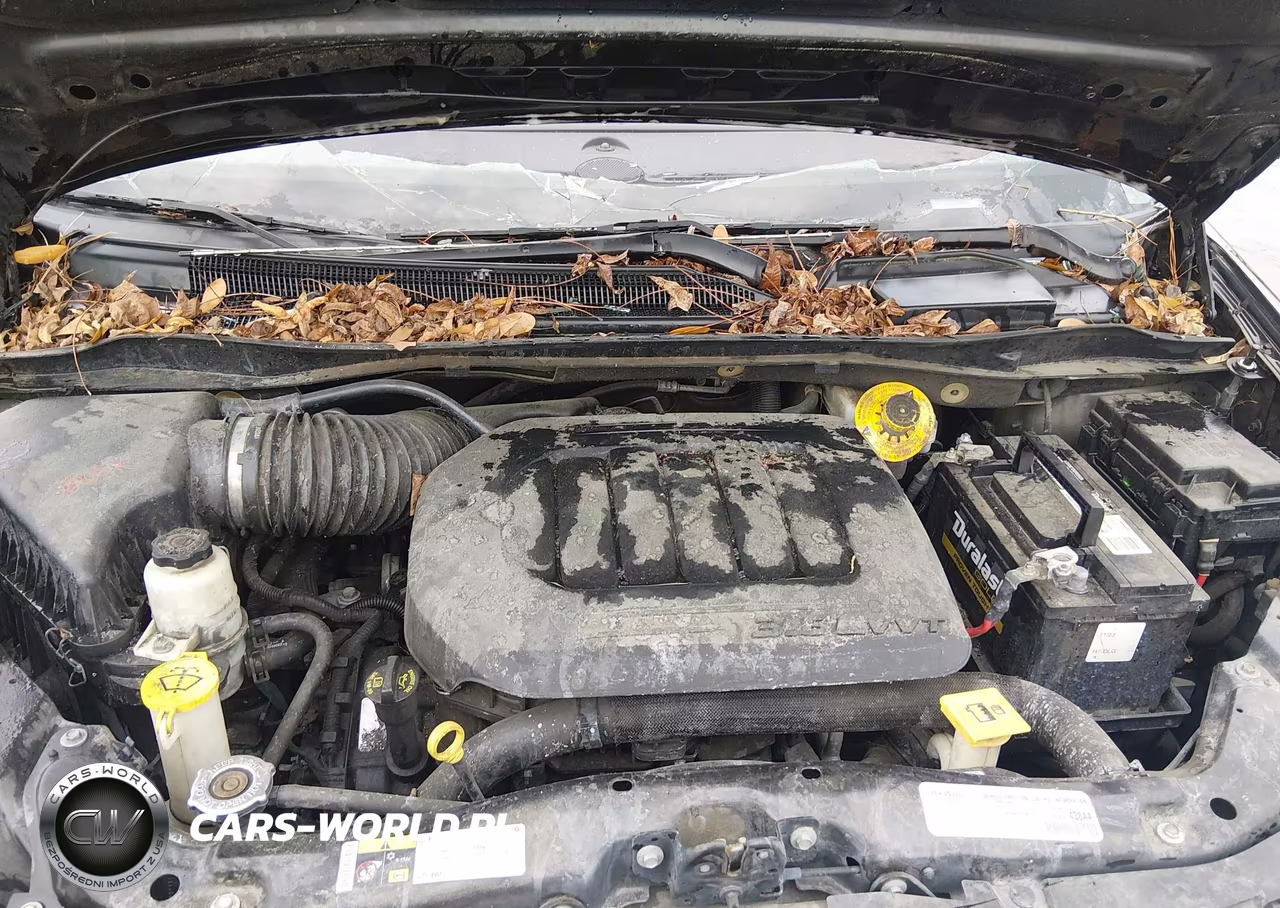 2019 Dodge Grand Caravan Sxt VIN:2C4RDGCGXKR558198 - 10