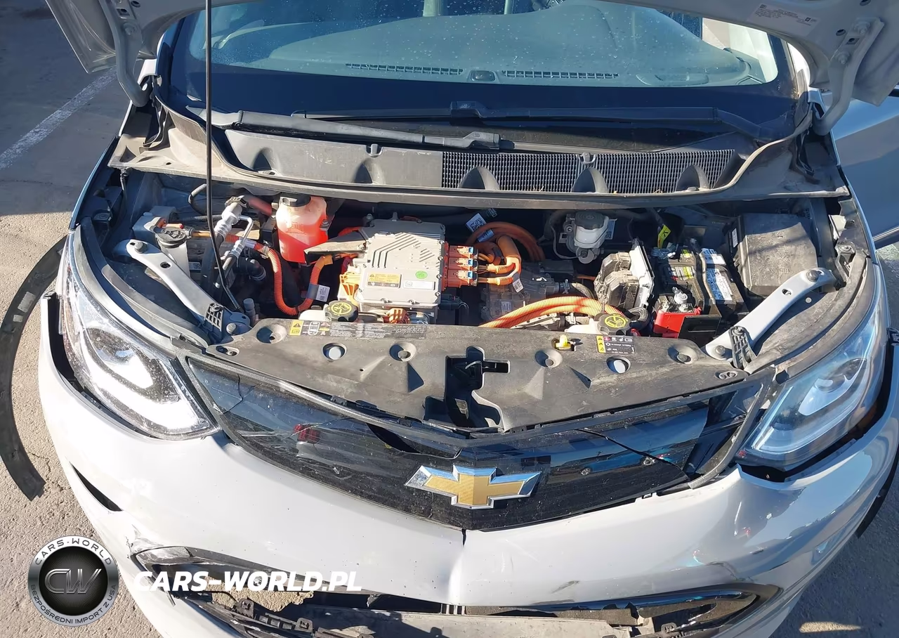 2019 Chevrolet Bolt Ev Premier VIN:1G1FZ6S07K4124691 - 10