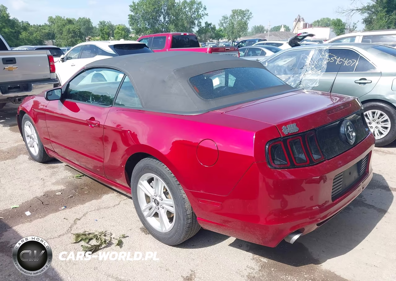 2014 Ford Mustang V6 VIN:1ZVBP8EM8E5219889 - 3