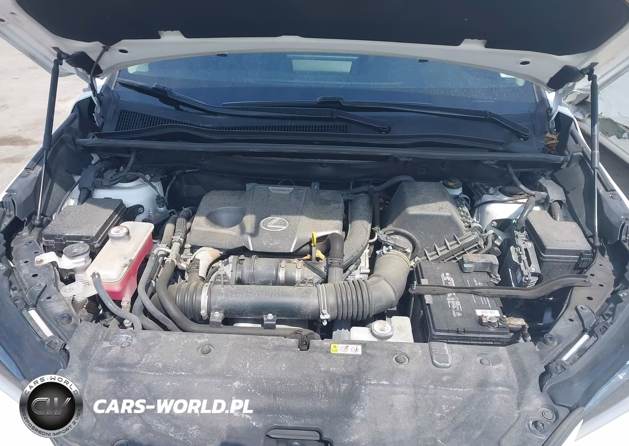 2020 Lexus Nx 300 VIN:JTJGARDZ6L5018581 - 10