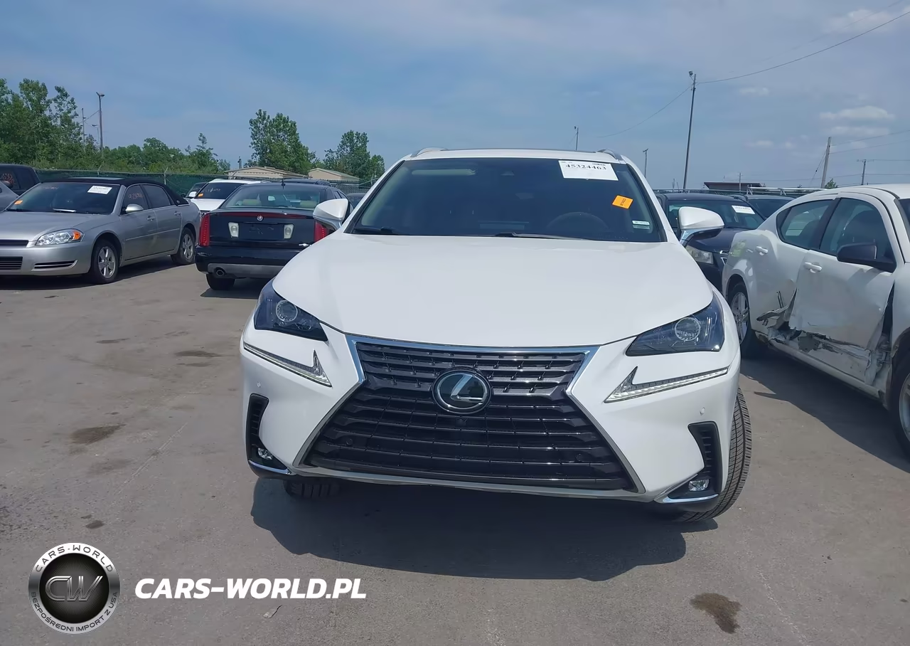 2020 Lexus Nx 300 VIN:JTJGARDZ6L5018581 - 12