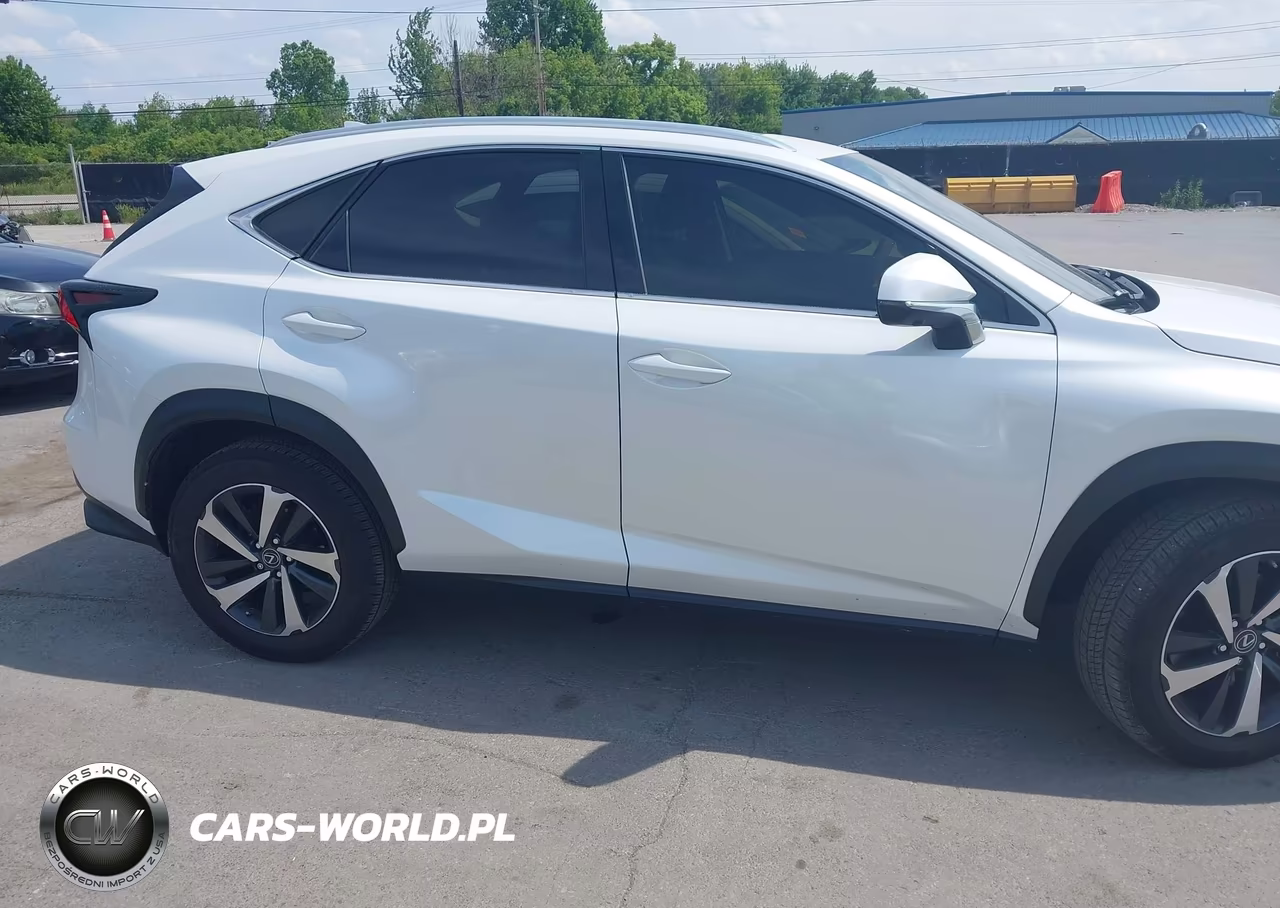 2020 Lexus Nx 300 VIN:JTJGARDZ6L5018581 - 13