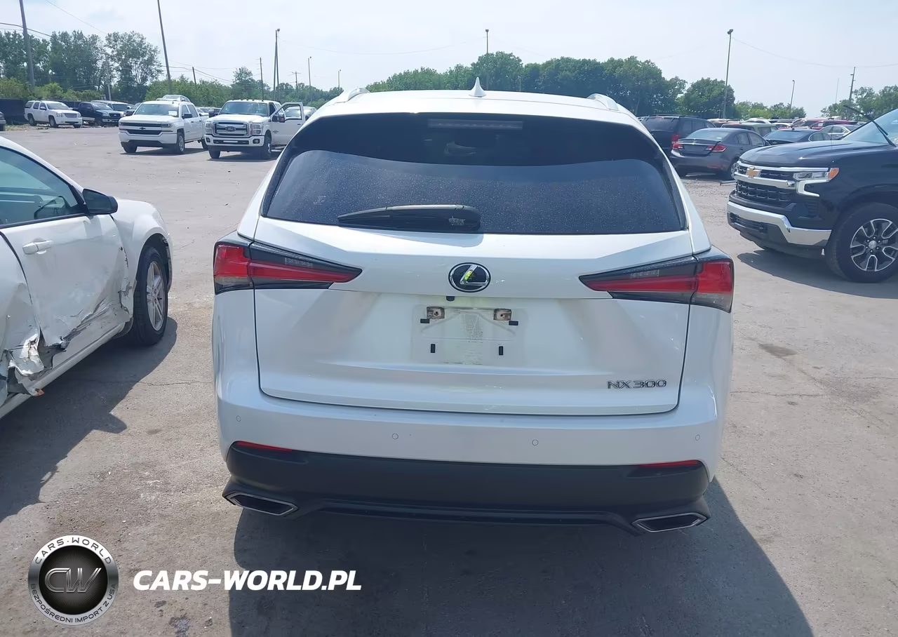 2020 Lexus Nx 300 VIN:JTJGARDZ6L5018581 - 16