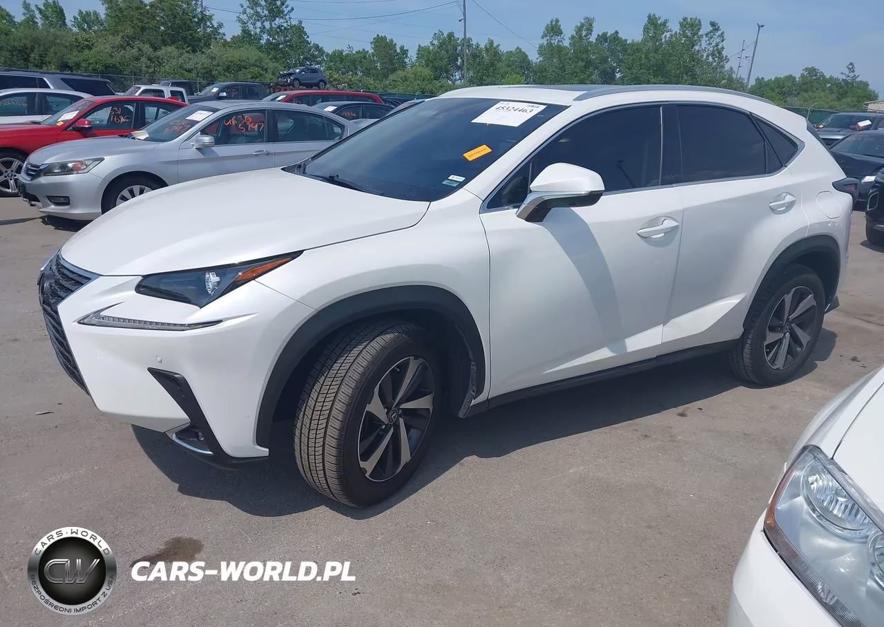 2020 Lexus Nx 300 VIN:JTJGARDZ6L5018581 - 2
