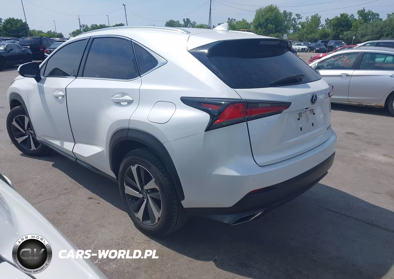 2020 Lexus Nx 300 VIN:JTJGARDZ6L5018581 - 3
