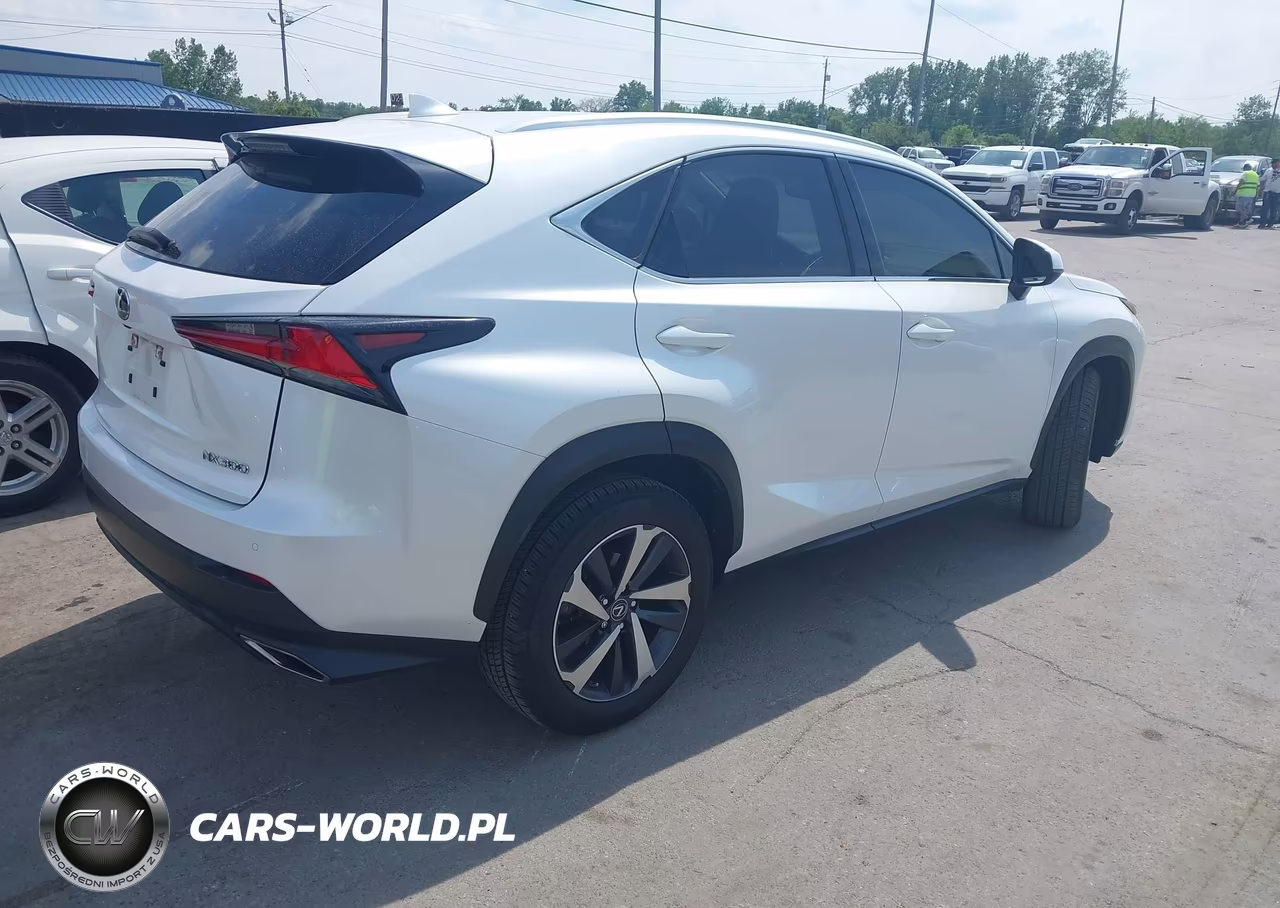 2020 Lexus Nx 300 VIN:JTJGARDZ6L5018581 - 4