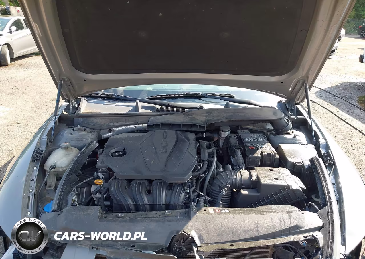 2020 Hyundai Sonata Se VIN:5NPEG4JA9LH052346 - 10