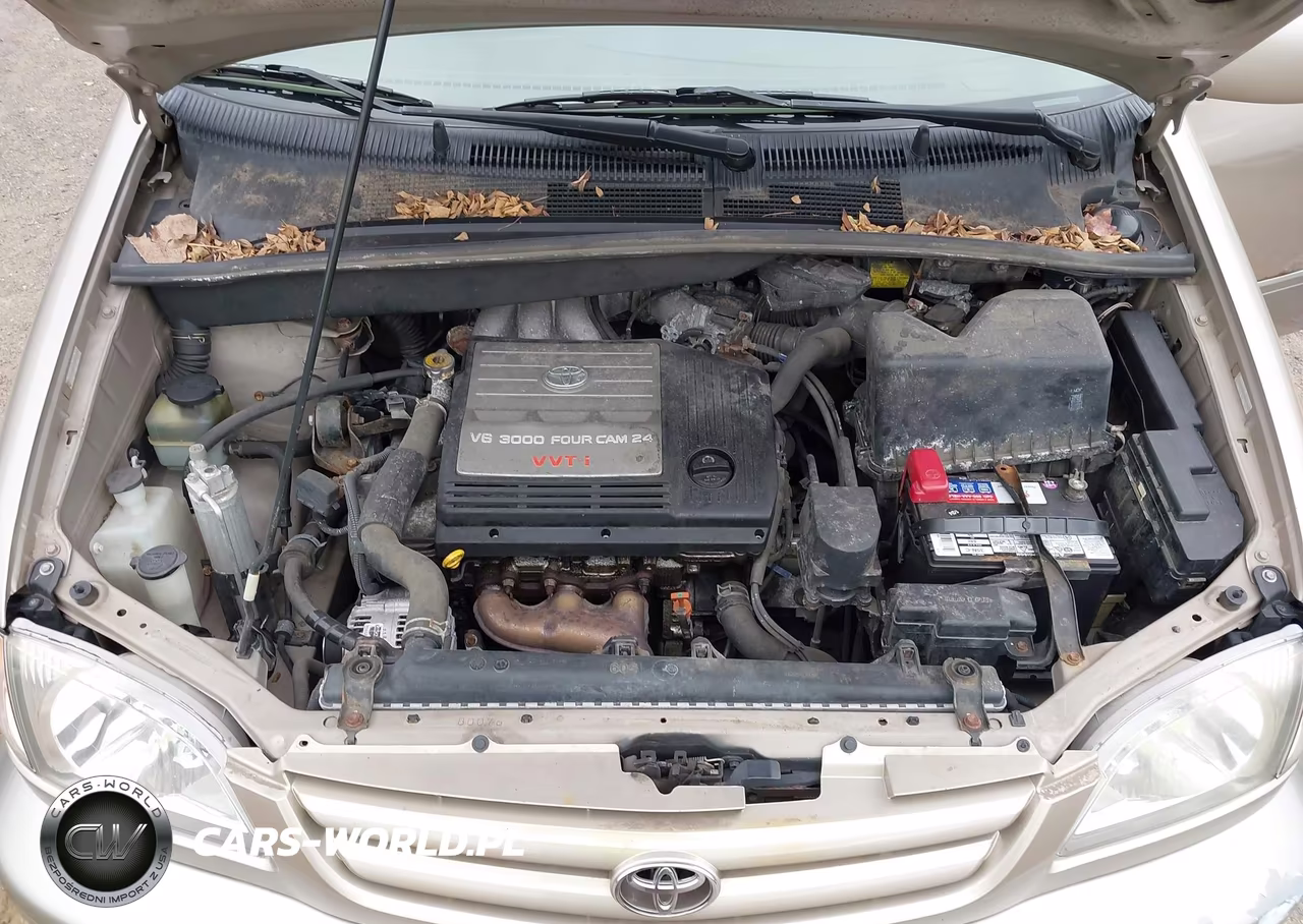 2003 Toyota Sienna Le VIN:4T3ZF13C43U519876 - 10