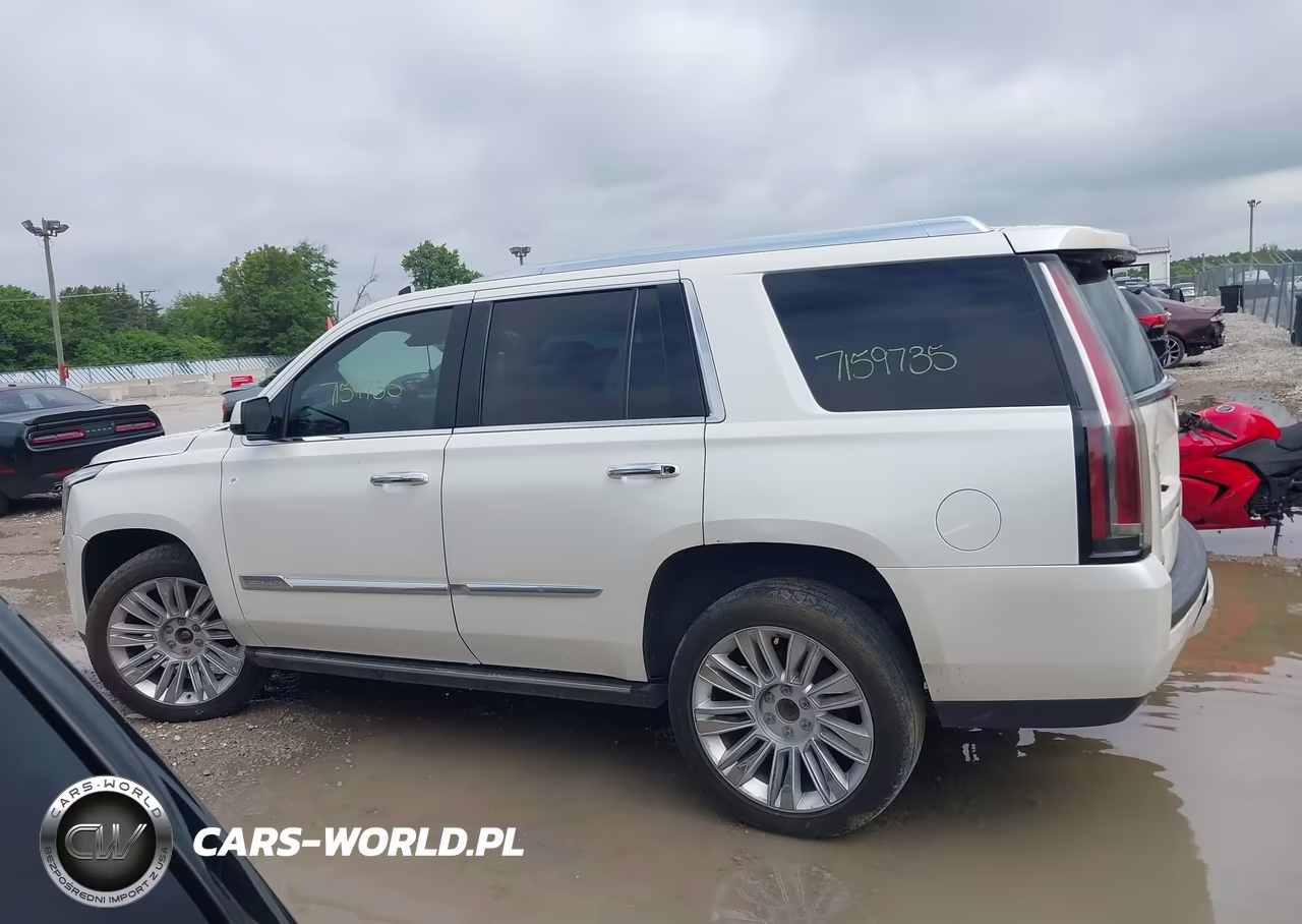 2015 Cadillac Escalade Premium VIN:1GYS4CKJ4FR277415 - 13