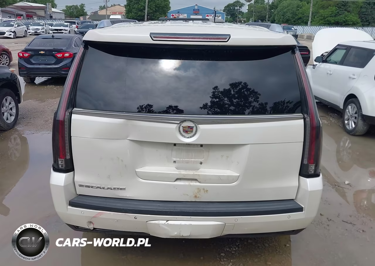 2015 Cadillac Escalade Premium VIN:1GYS4CKJ4FR277415 - 15