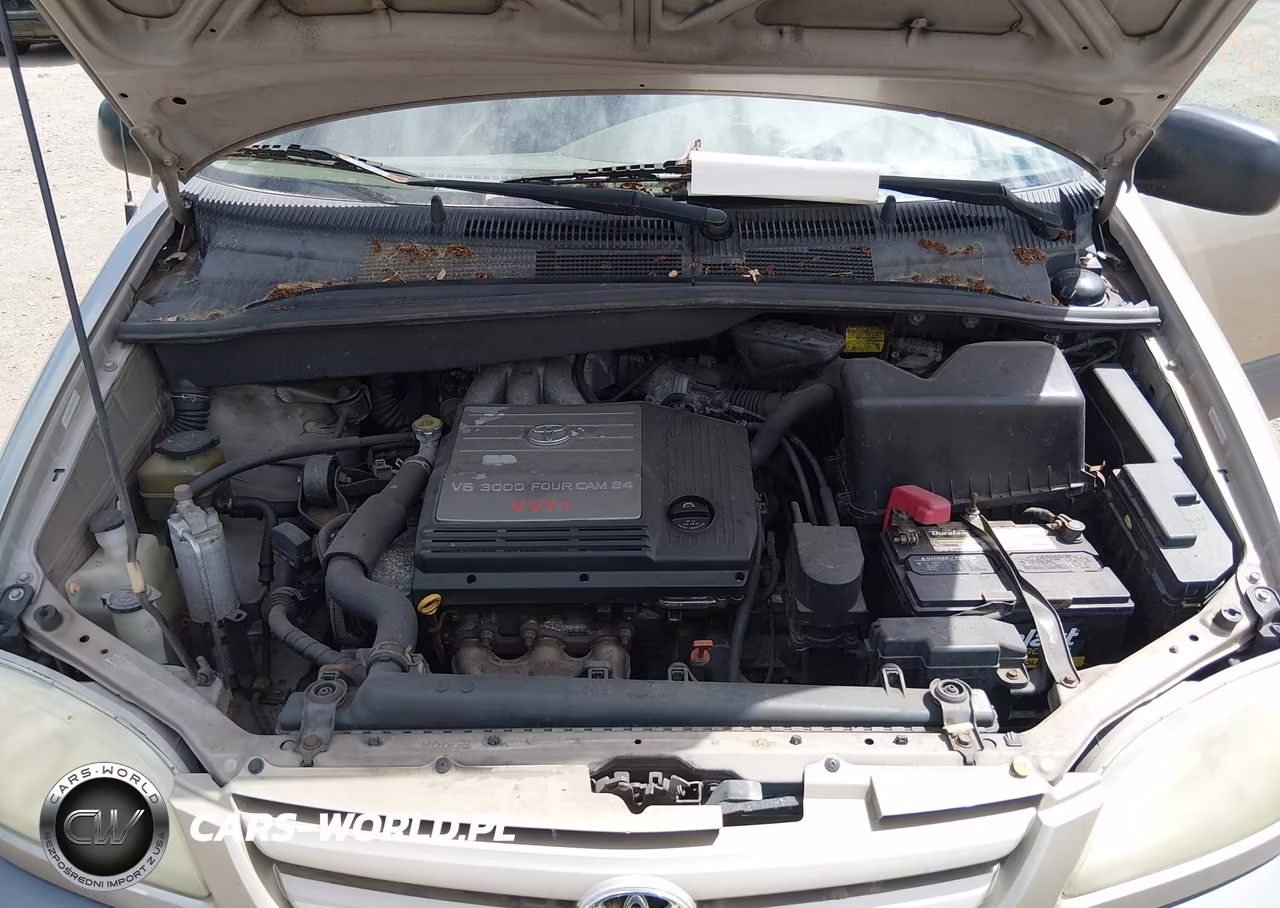 2003 Toyota Sienna Ce VIN:4T3ZF19C03U515363 - 10