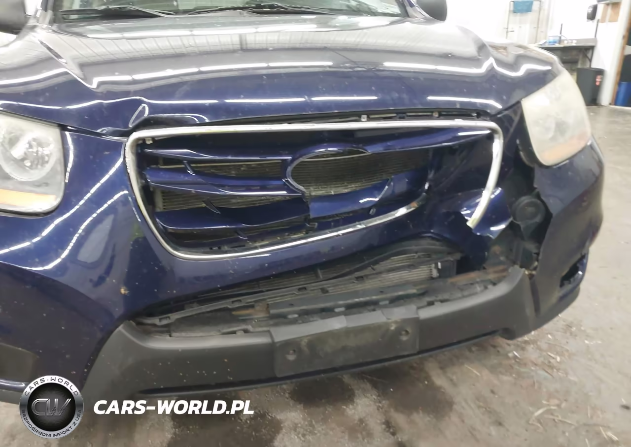 2010 Hyundai Santa Fe Gls VIN:5NMSGDABXAH413184 - 6