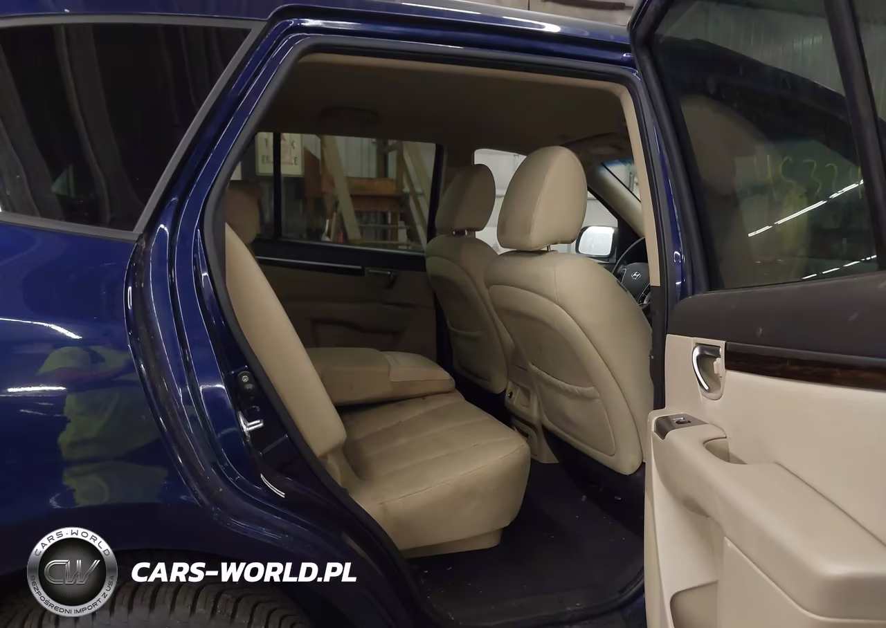 2010 Hyundai Santa Fe Gls VIN:5NMSGDABXAH413184 - 8