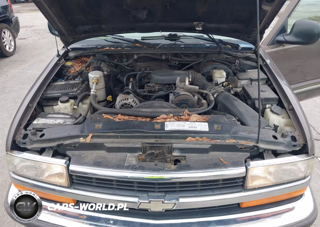 1998 Chevrolet Blazer Ls VIN:1GNDT13W8W2275778 - 10
