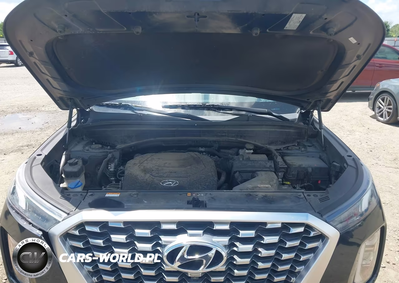 2021 Hyundai Palisade Limited VIN:KM8R54HEXMU221079 - 10