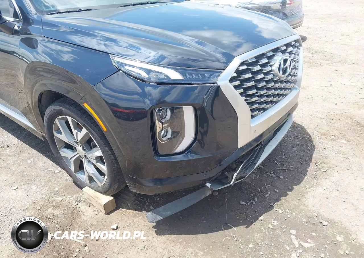 2021 Hyundai Palisade Limited VIN:KM8R54HEXMU221079 - 6