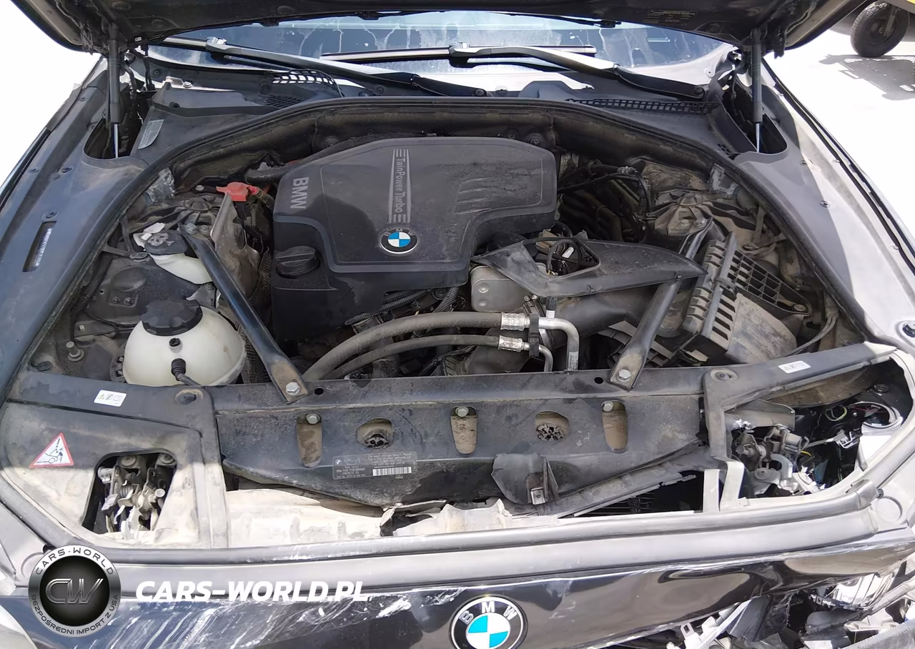 2013 BMW 528I VIN:WBAXG5C57DDY35314 - 10