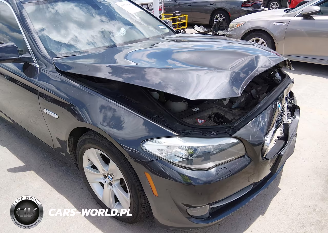 2013 BMW 528I VIN:WBAXG5C57DDY35314 - 12