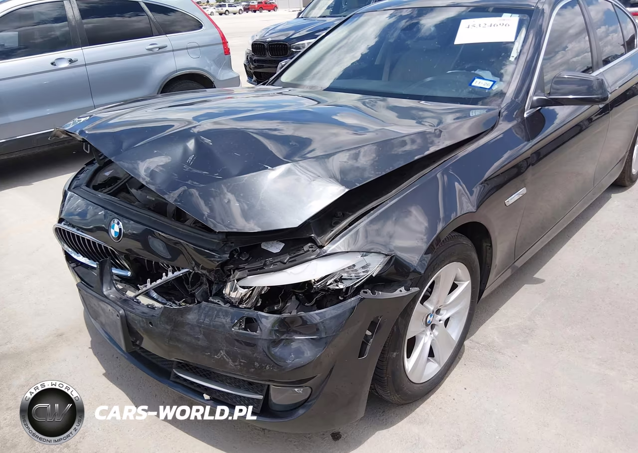 2013 BMW 528I VIN:WBAXG5C57DDY35314 - 13