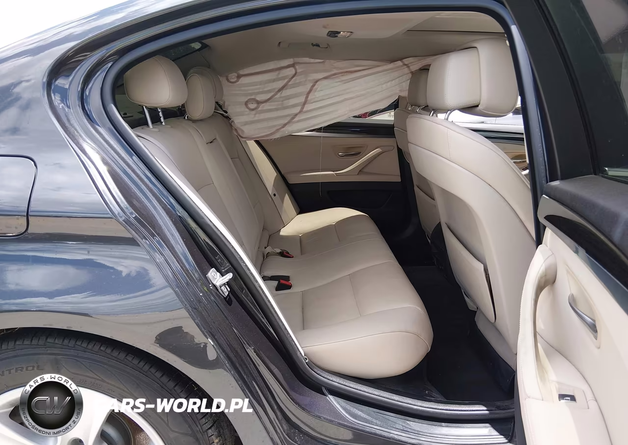 2013 BMW 528I VIN:WBAXG5C57DDY35314 - 8