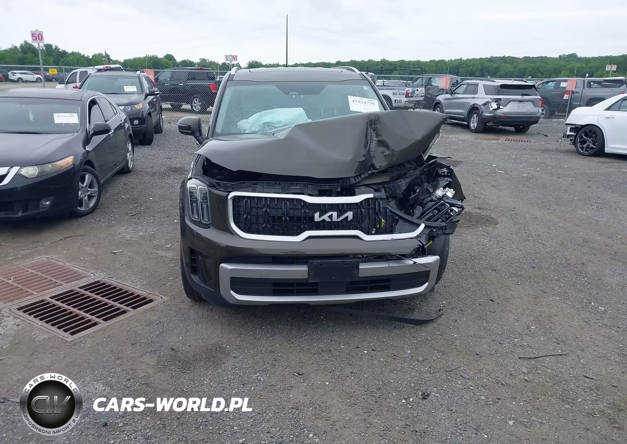 2023 Kia Telluride Ex VIN:5XYP3DGC9PG339129 - 12