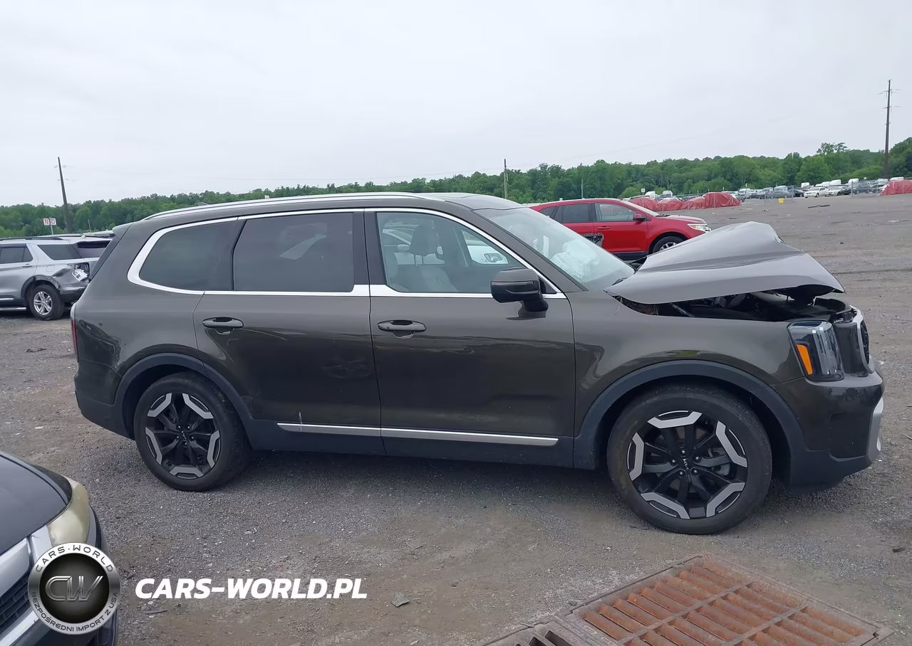 2023 Kia Telluride Ex VIN:5XYP3DGC9PG339129 - 13