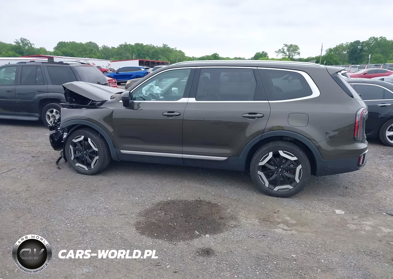 2023 Kia Telluride Ex VIN:5XYP3DGC9PG339129 - 14